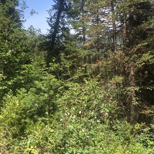 Meet your Posher, Derek